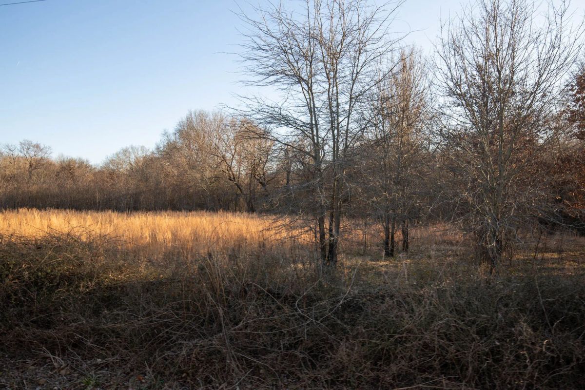 Painted Horse Tract 42 - Image 3