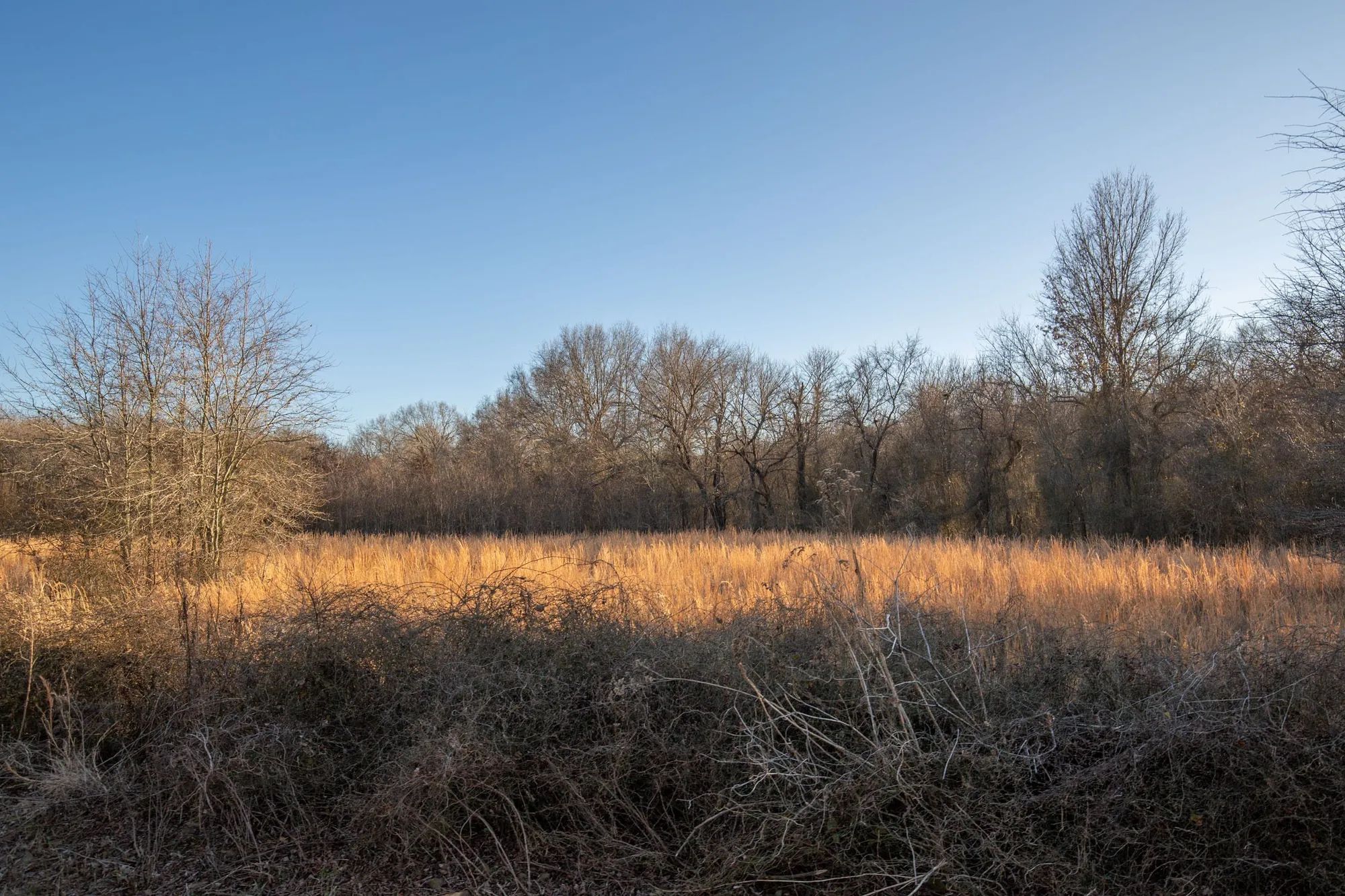 Painted Horse Tract 42 in Pittsburg County, OK