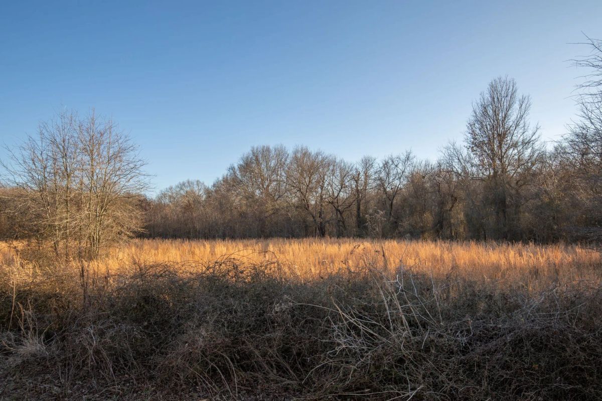 Painted Horse Tract 42 - Image 4