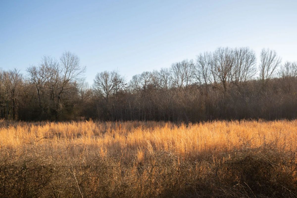 Decorative background for Painted Horse Tract 42 image 11