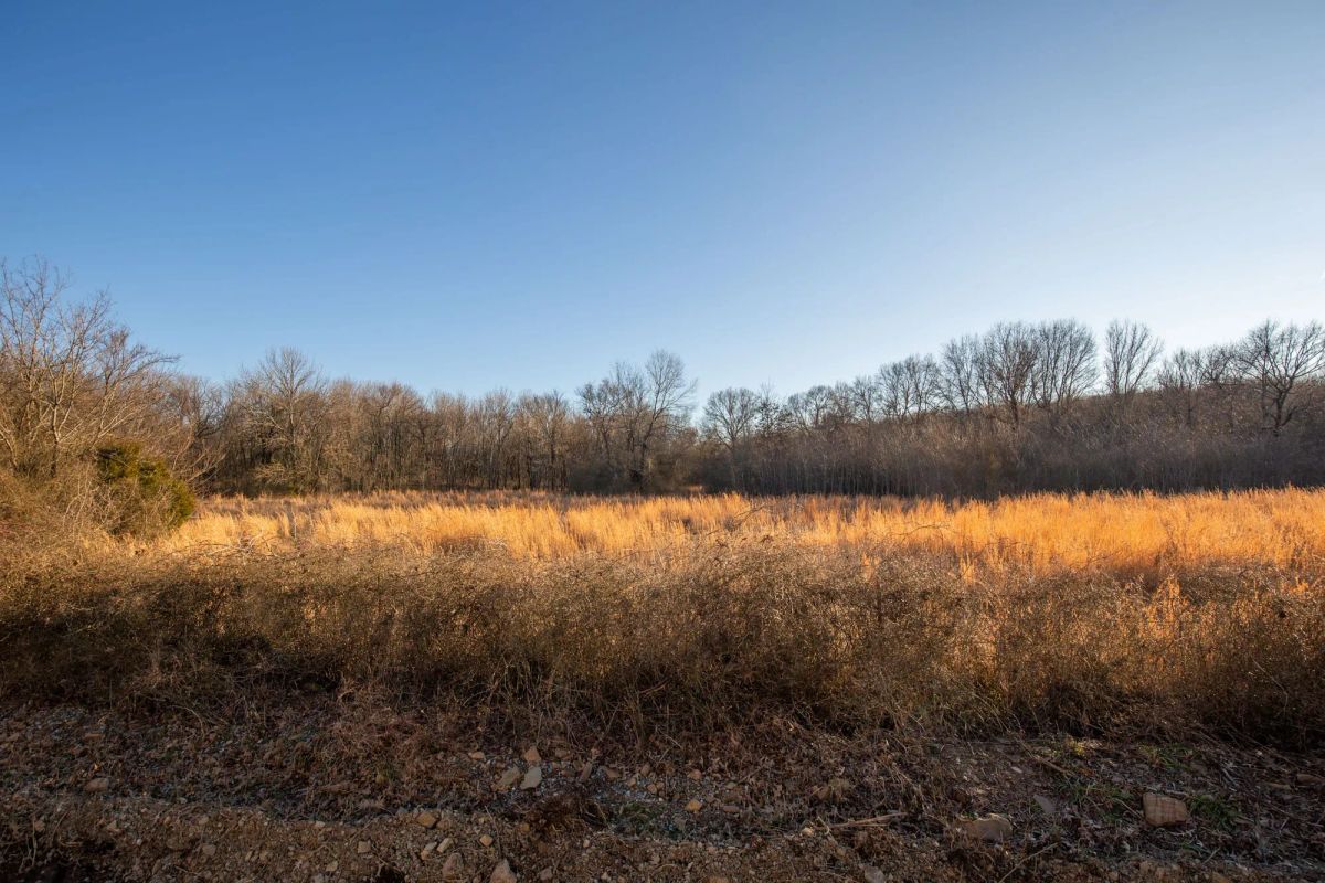 Decorative background for Painted Horse Tract 42 image 12