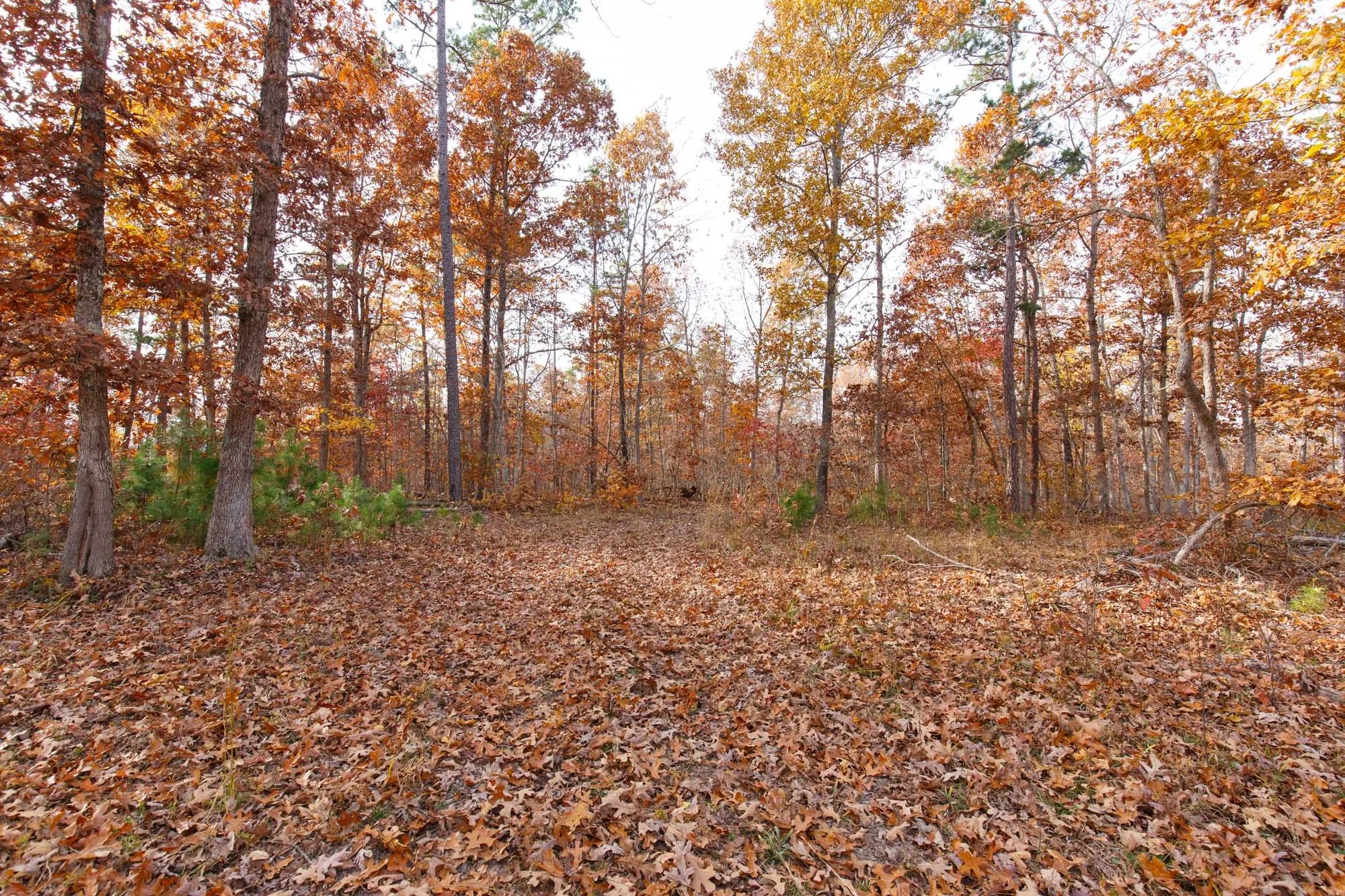Hawkcrest Tract 30 in Reynolds County, MO