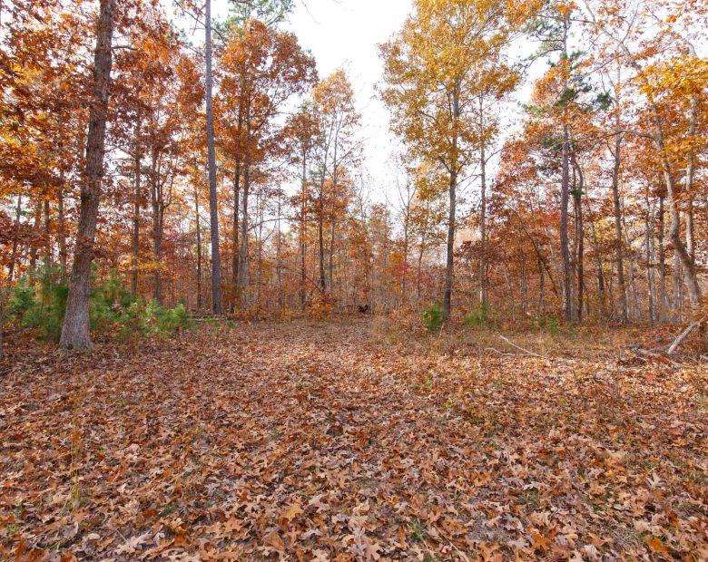 Hawkcrest Tract 30 in Reynolds County, MO
