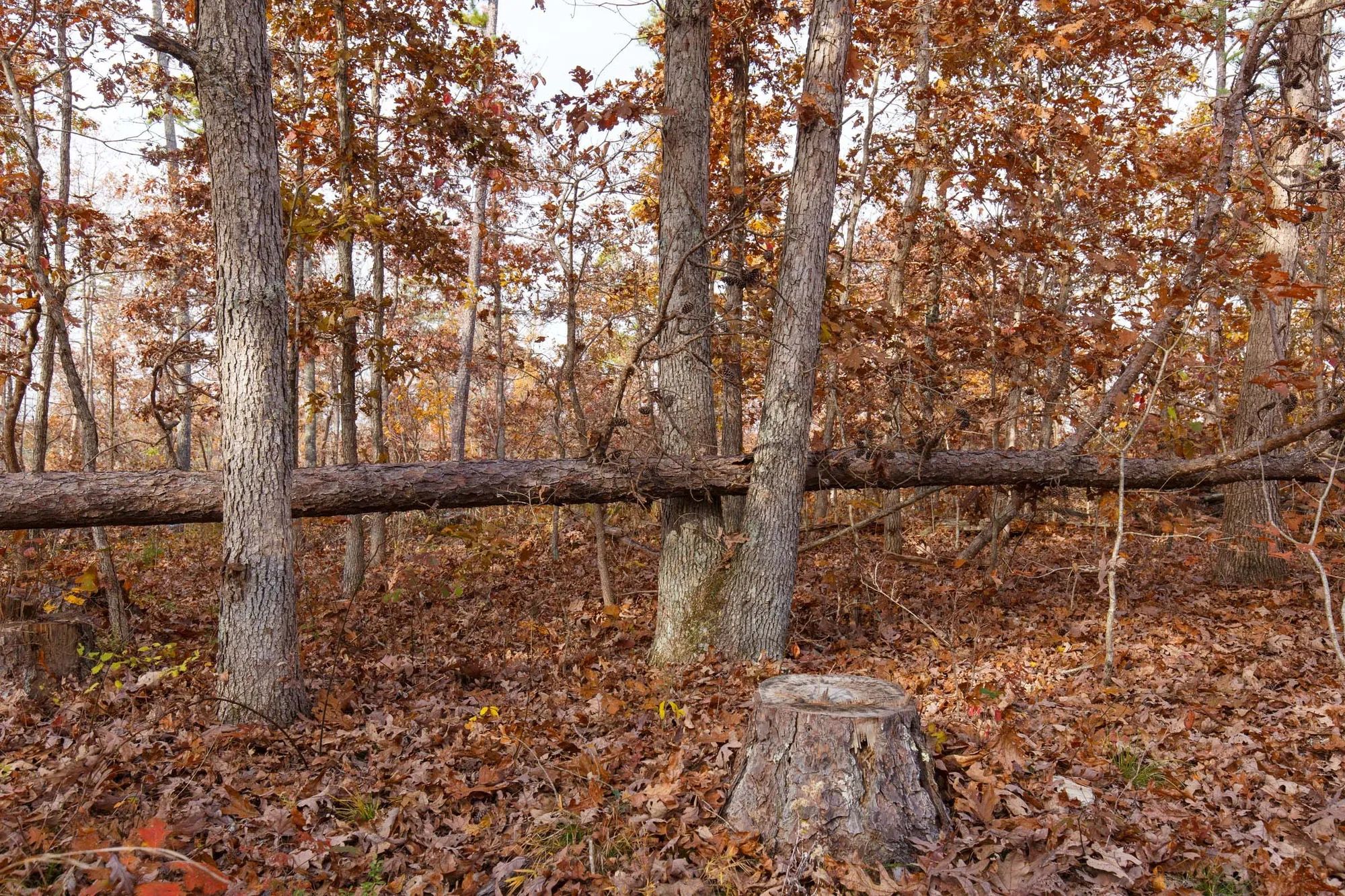 Hawkcrest Tract 30 in Reynolds County, MO