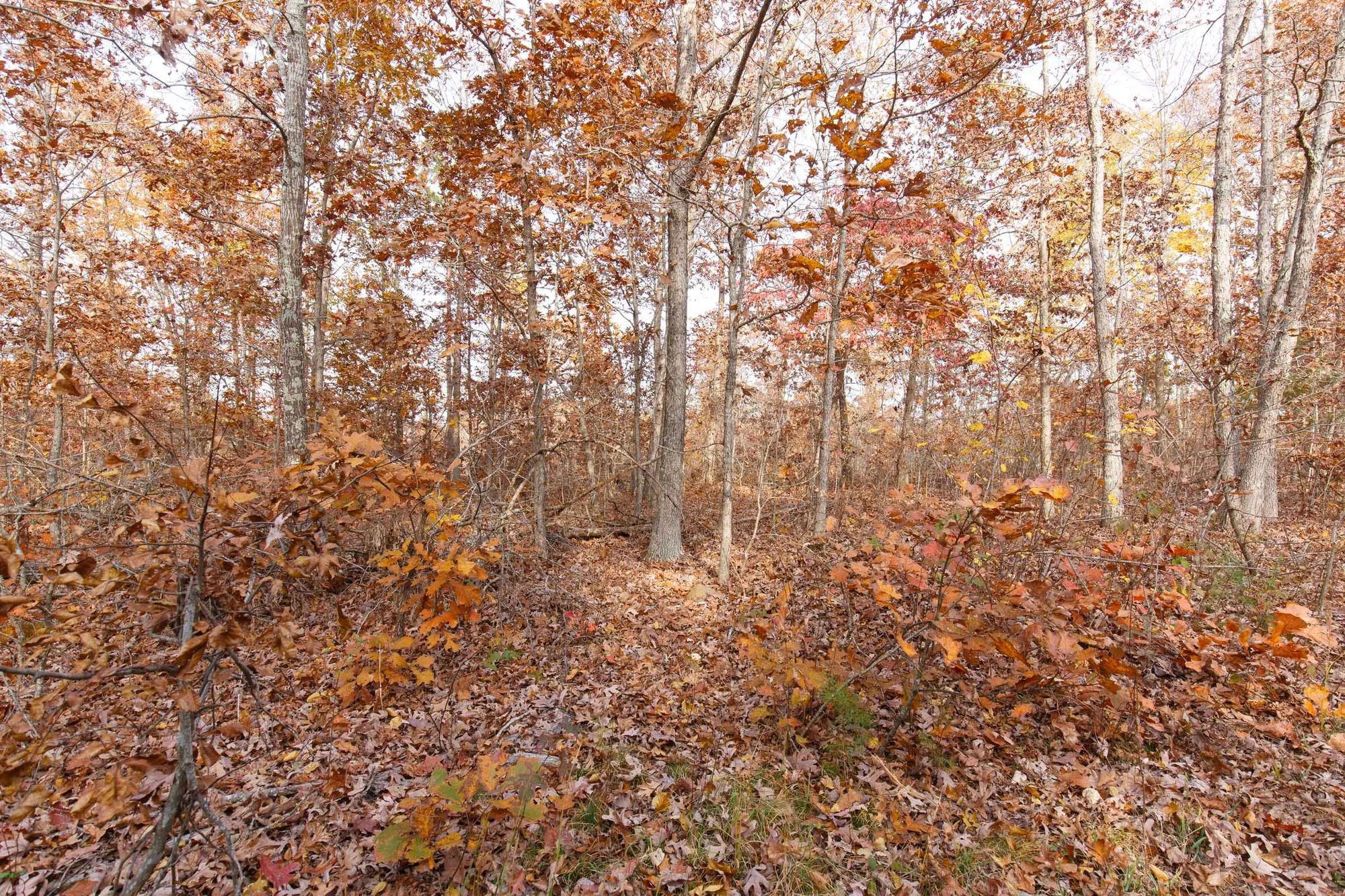 Hawkcrest Tract 30 in Reynolds County, MO