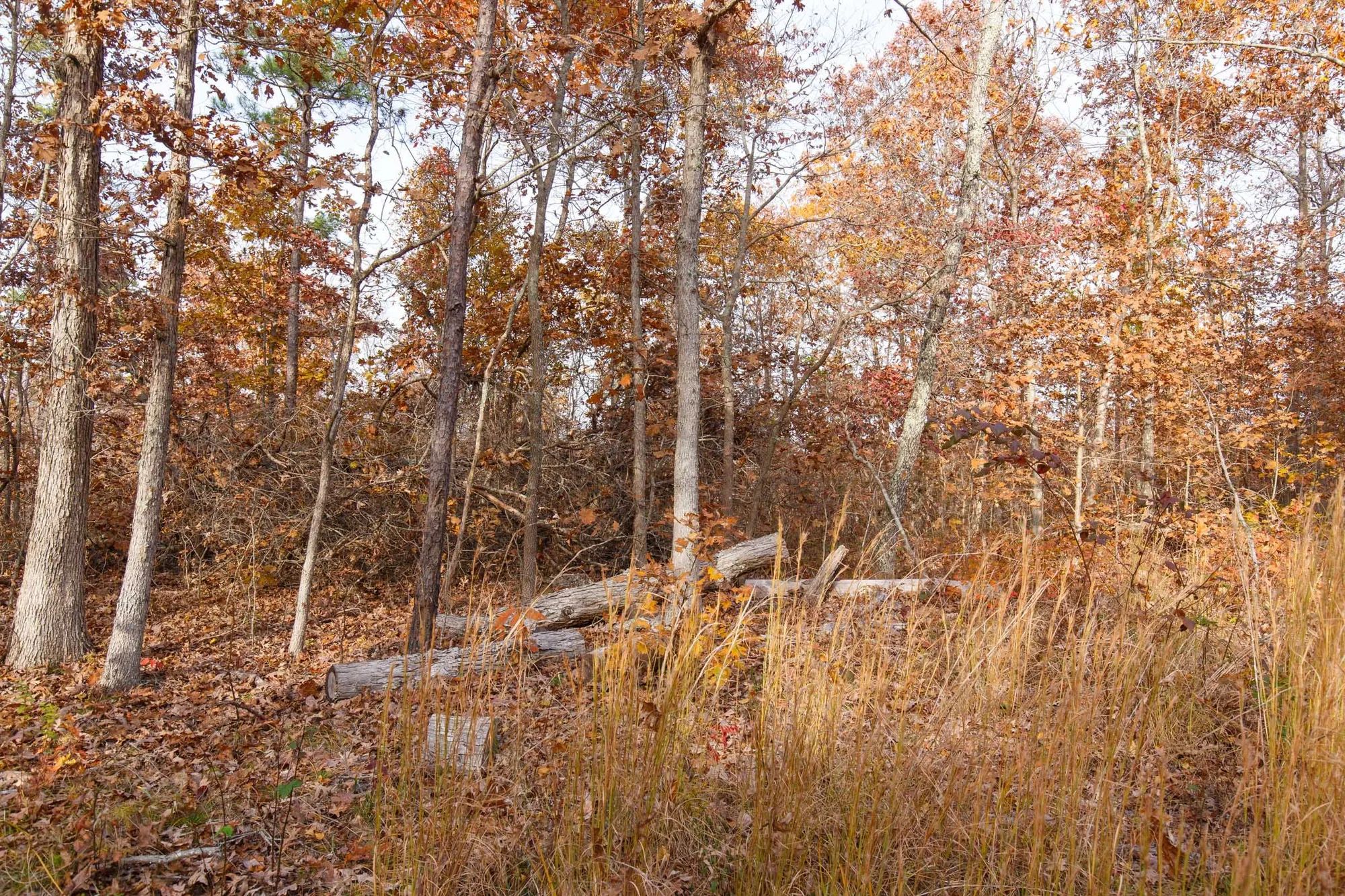 Hawkcrest Tract 30 in Reynolds County, MO