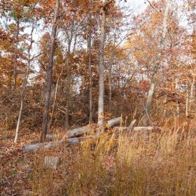 Hawkcrest Tract 30 in Reynolds County, MO