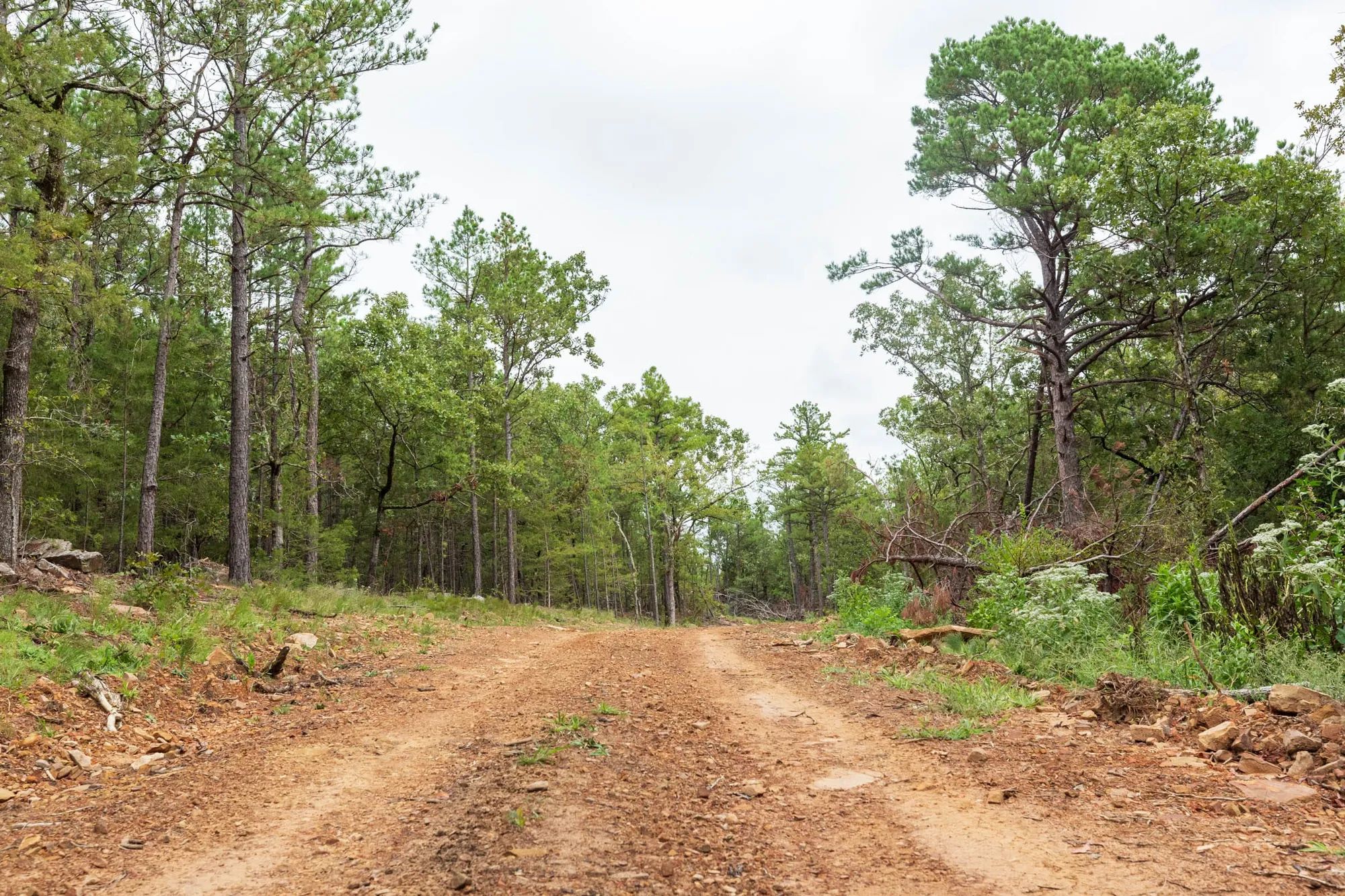 Stone Bridge Phase V Tract 419 in Latimer County, OK