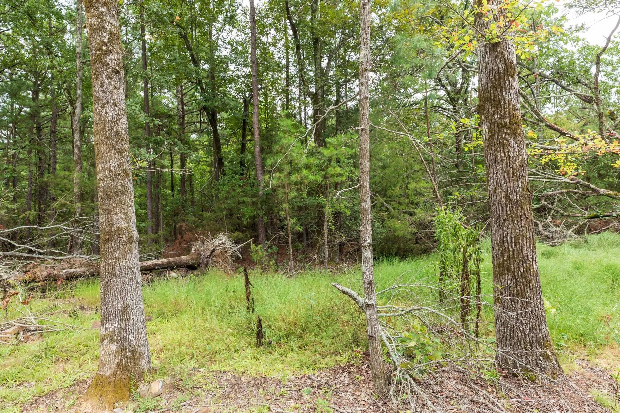 Stone Bridge Phase V Tract 419 in Latimer County, OK