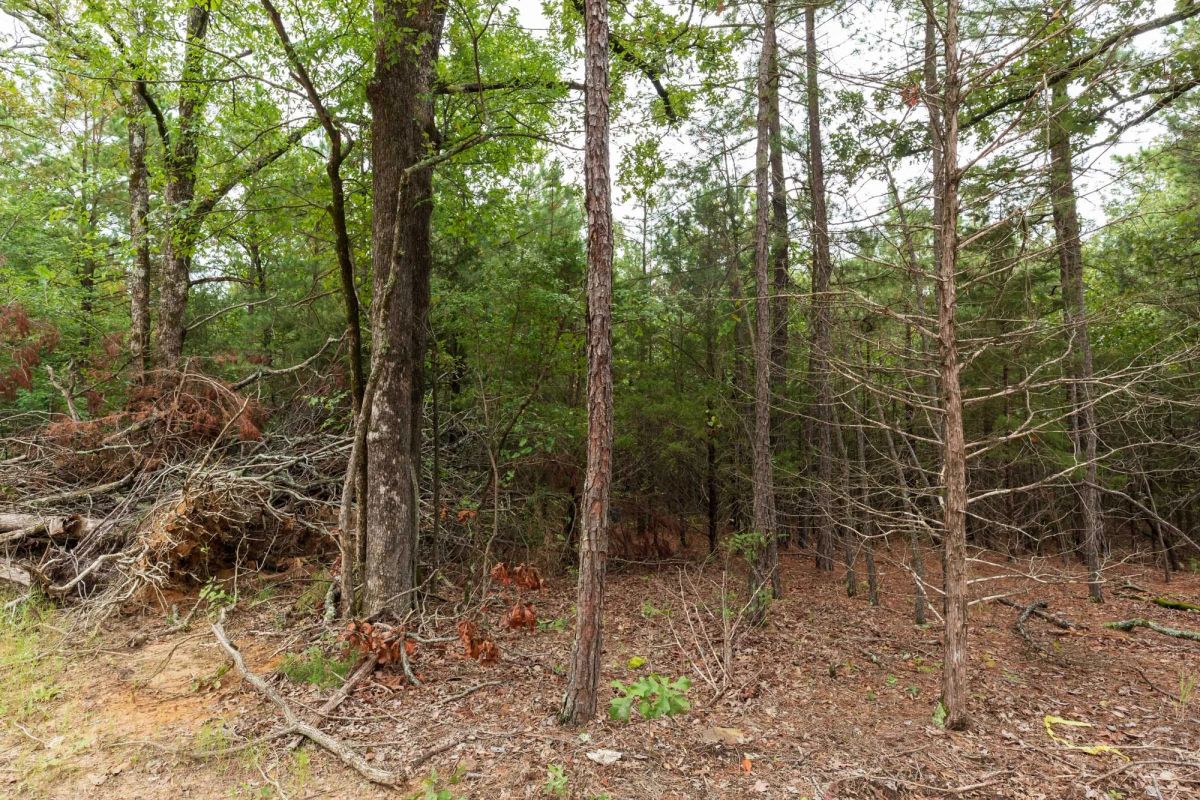 Stone Bridge Phase V Tract 419 - Image 3