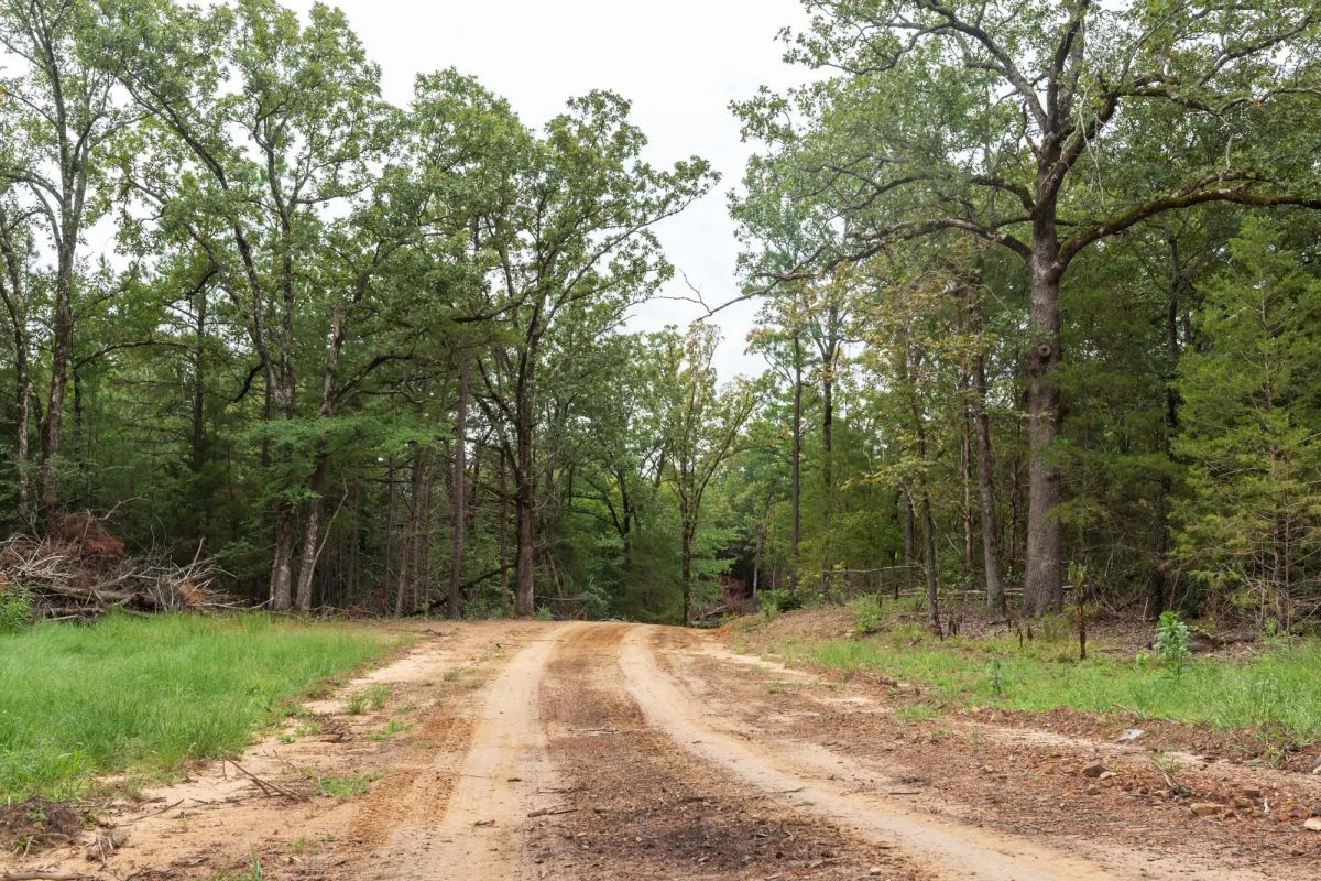 Decorative background for Stone Bridge Phase V Tract 419 image 7