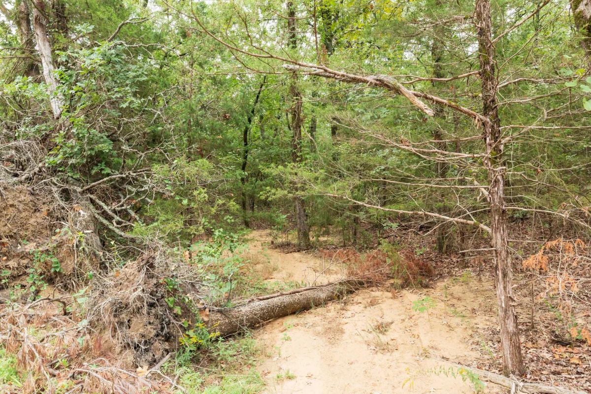 Decorative background for Stone Bridge Phase V Tract 419 image 8