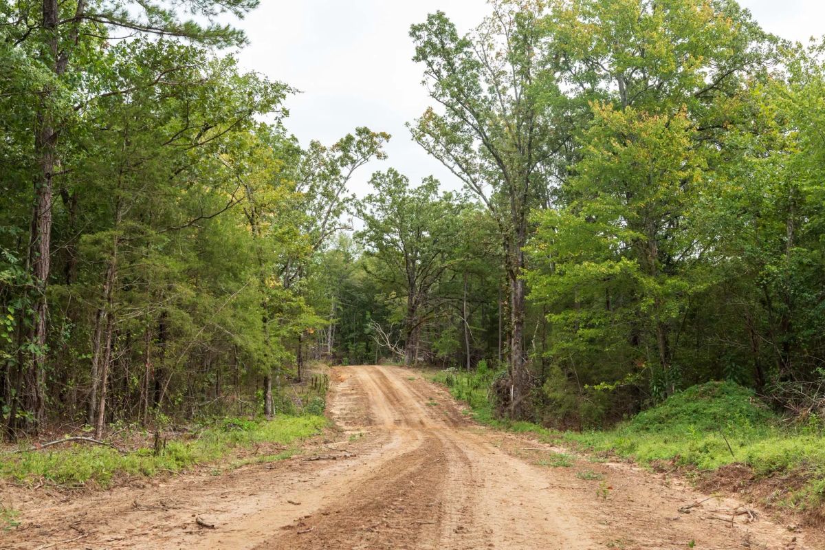 Decorative background for Stone Bridge Phase V Tract 419 image 9