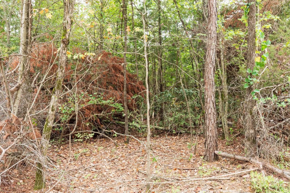 Decorative background for Stone Bridge Phase V Tract 419 image 10