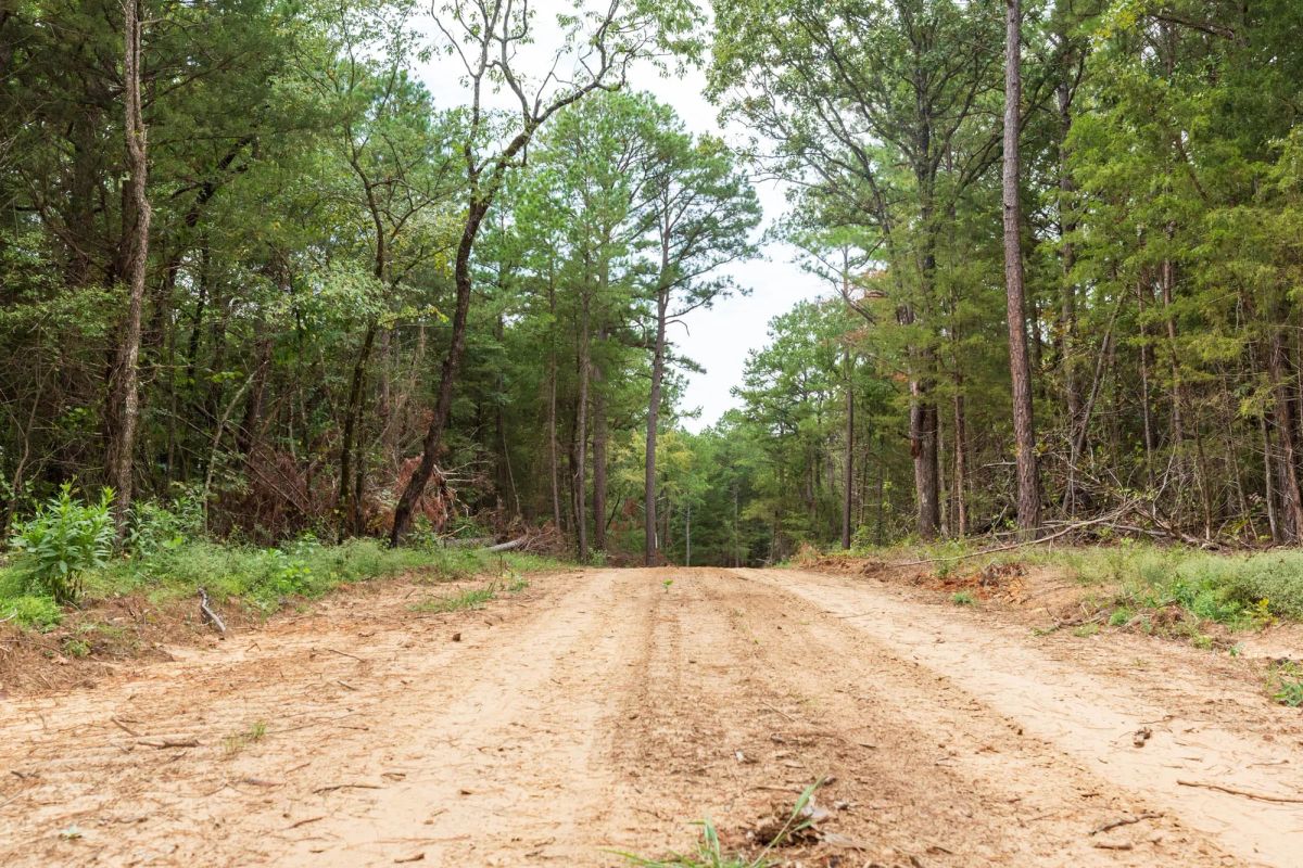 Decorative background for Stone Bridge Phase V Tract 419 image 12