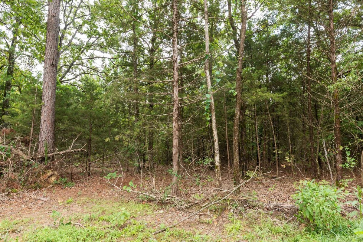 Decorative background for Stone Bridge Phase V Tract 419 image 13