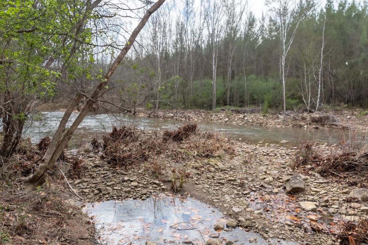 Decorative background for Stone Bridge Phase V Tract 419 image 14