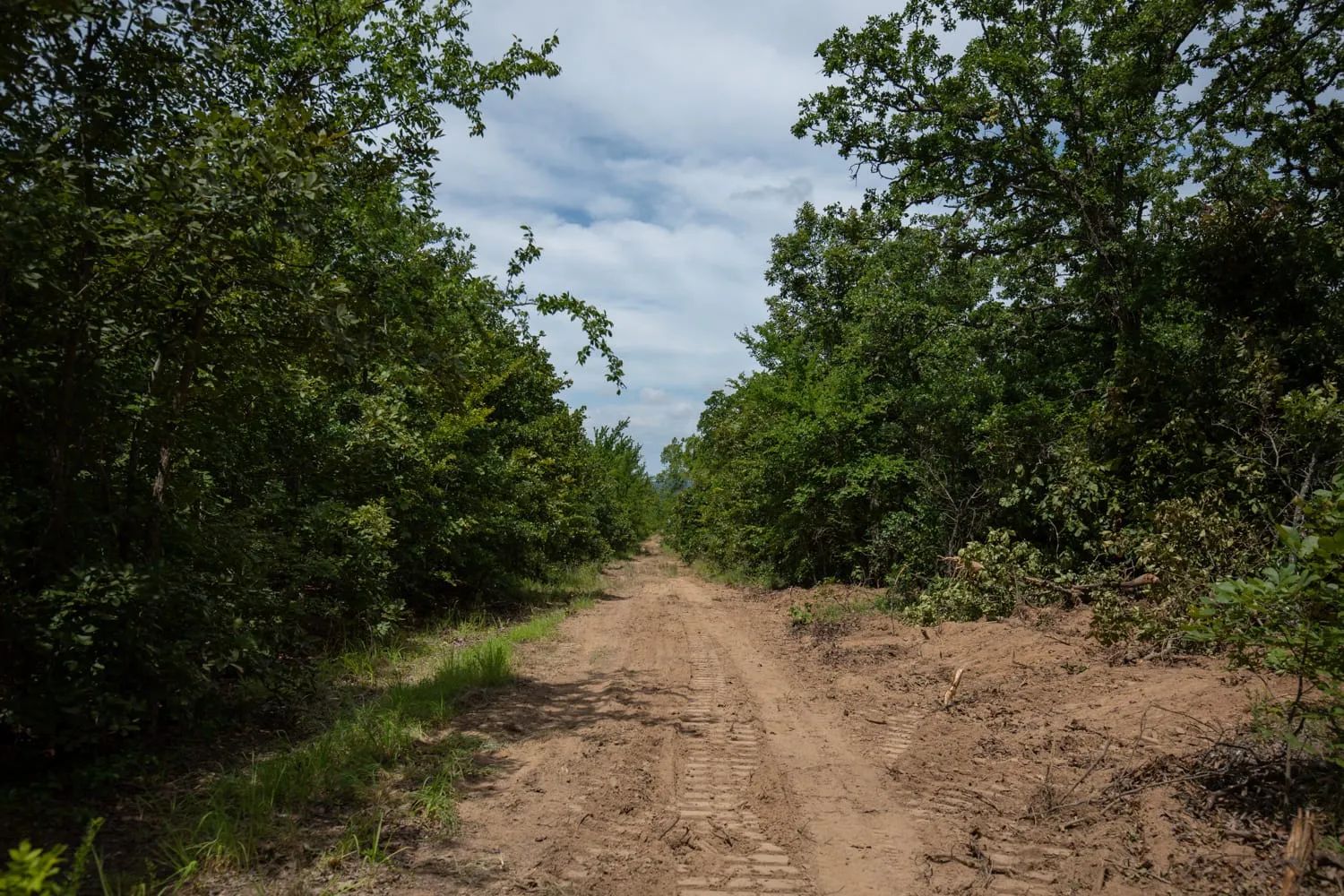 Timber Ridge Tract 44 in McIntosh County, OK