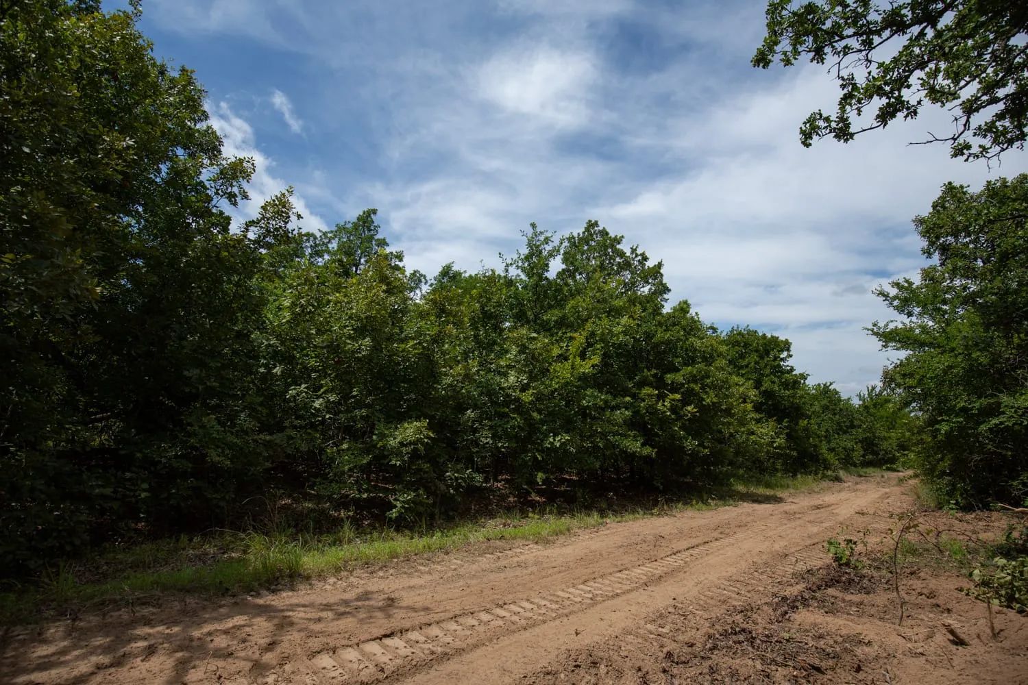Timber Ridge Tract 44 in McIntosh County, OK