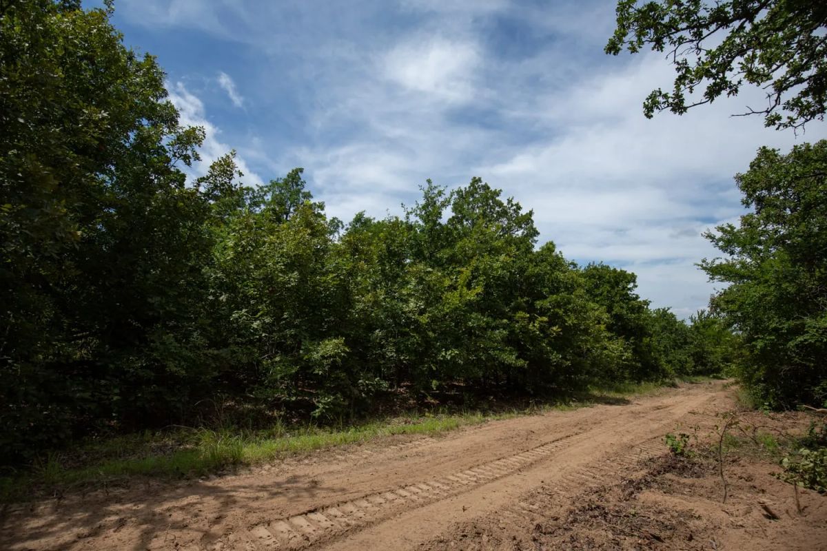 Timber Ridge Tract 44 - Image 3