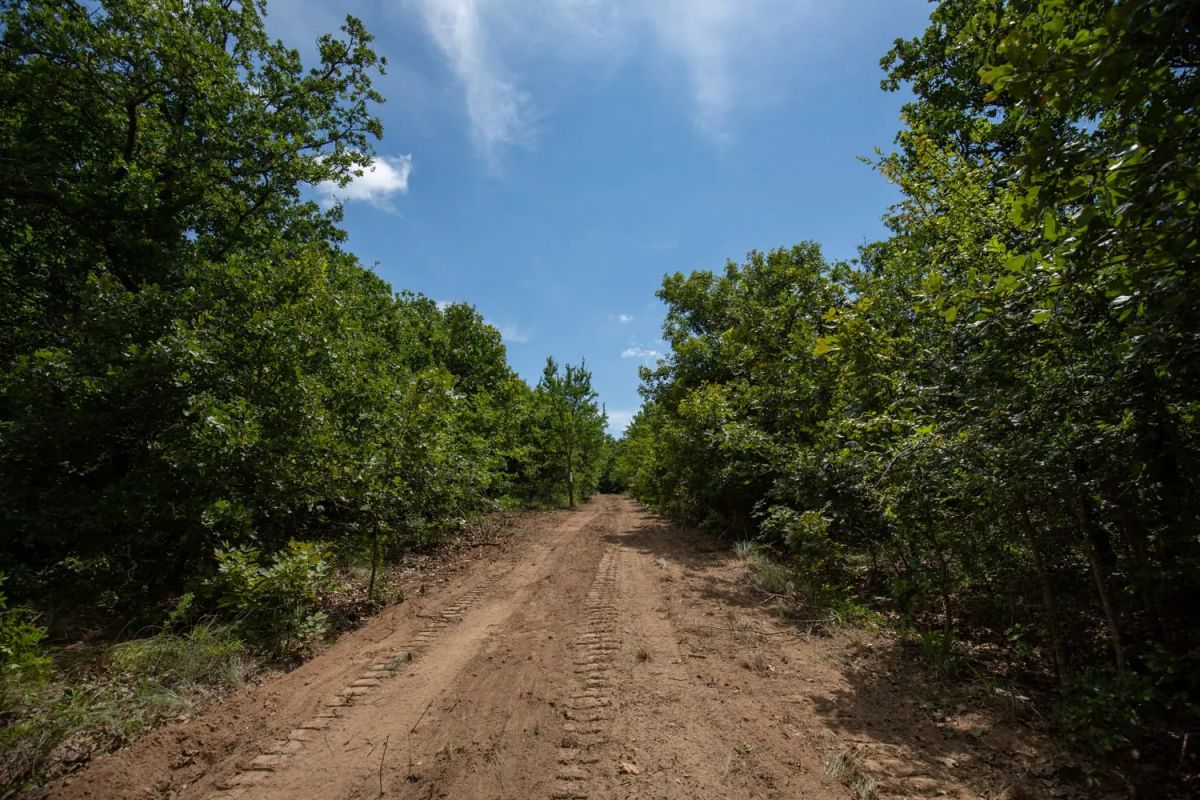 Decorative background for Timber Ridge Tract 44 image 7