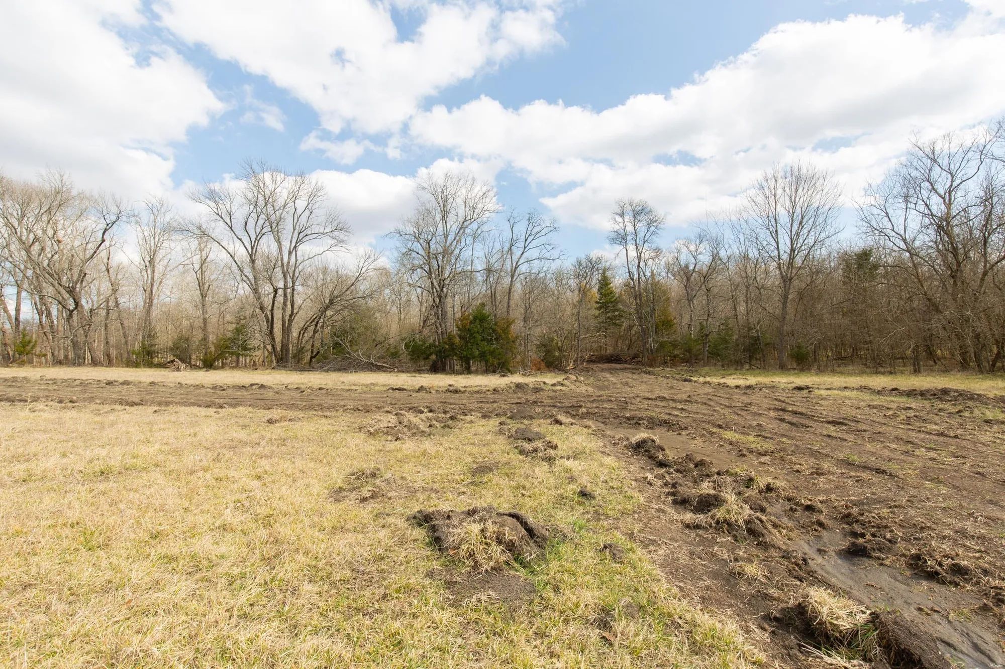Wishing Star Ranch Tract 32 in Red River County, TX