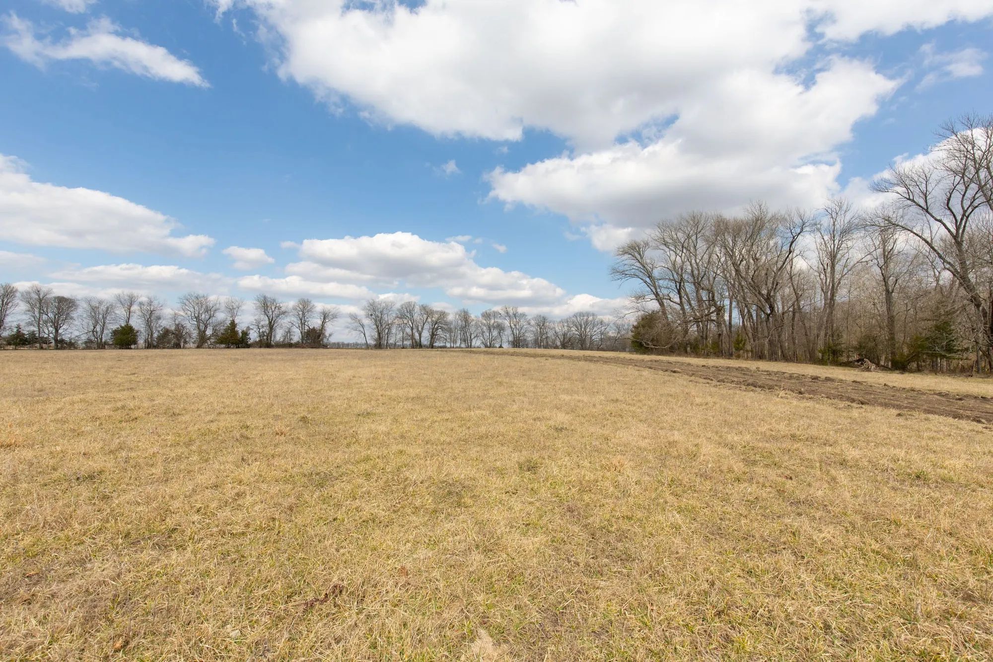 Wishing Star Ranch Tract 32 in Red River County, TX