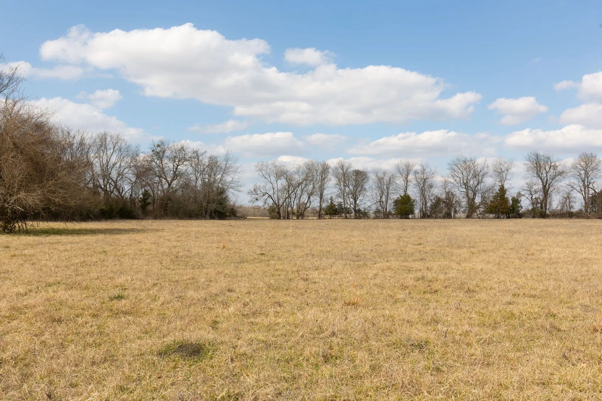 Wishing Star Ranch Tract 32 in Red River County, TX