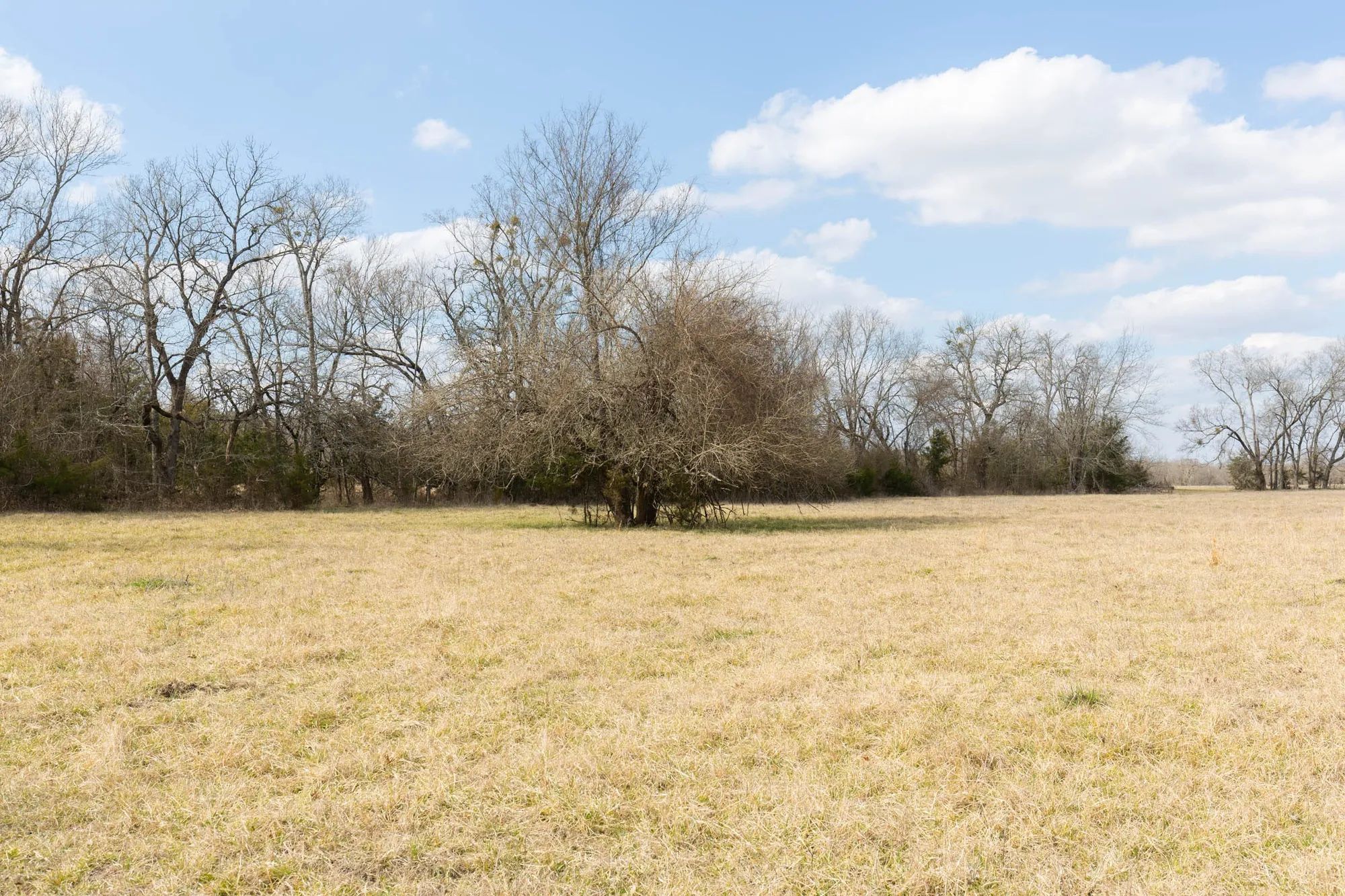 Wishing Star Ranch Tract 32 in Red River County, TX