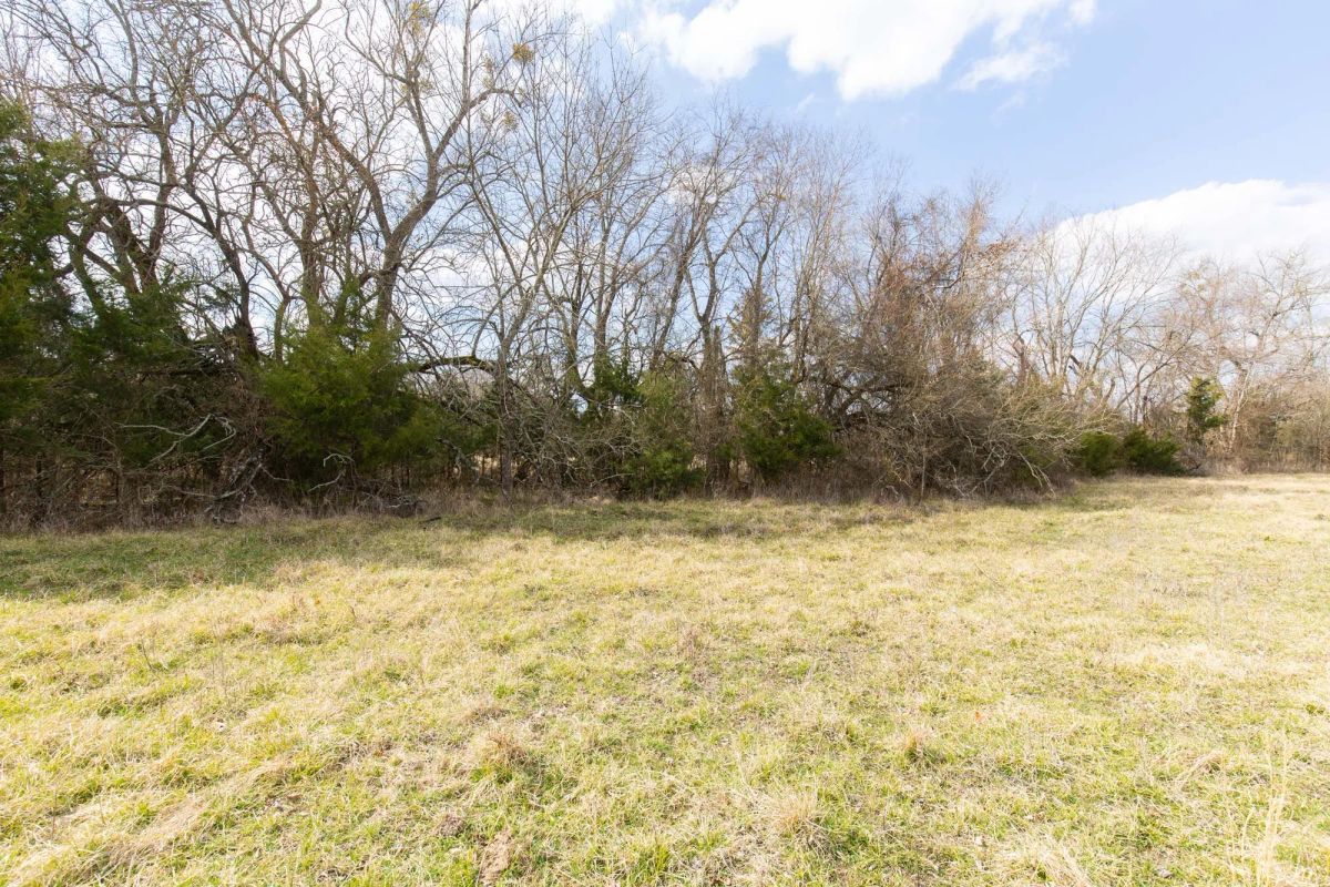 Decorative background for Wishing Star Ranch Tract 32 image 6