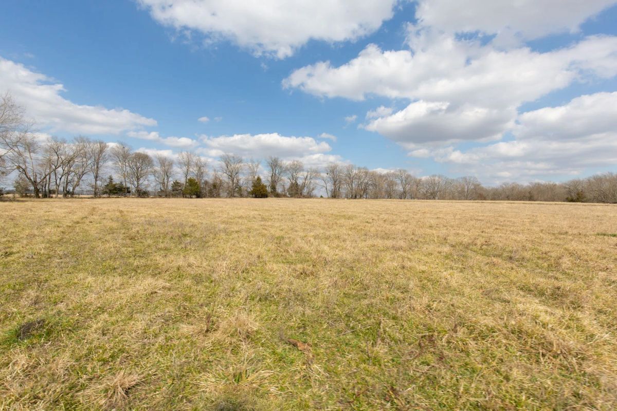 Decorative background for Wishing Star Ranch Tract 32 image 8