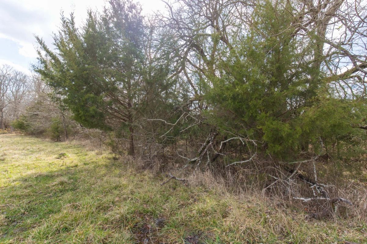 Decorative background for Wishing Star Ranch Tract 32 image 9