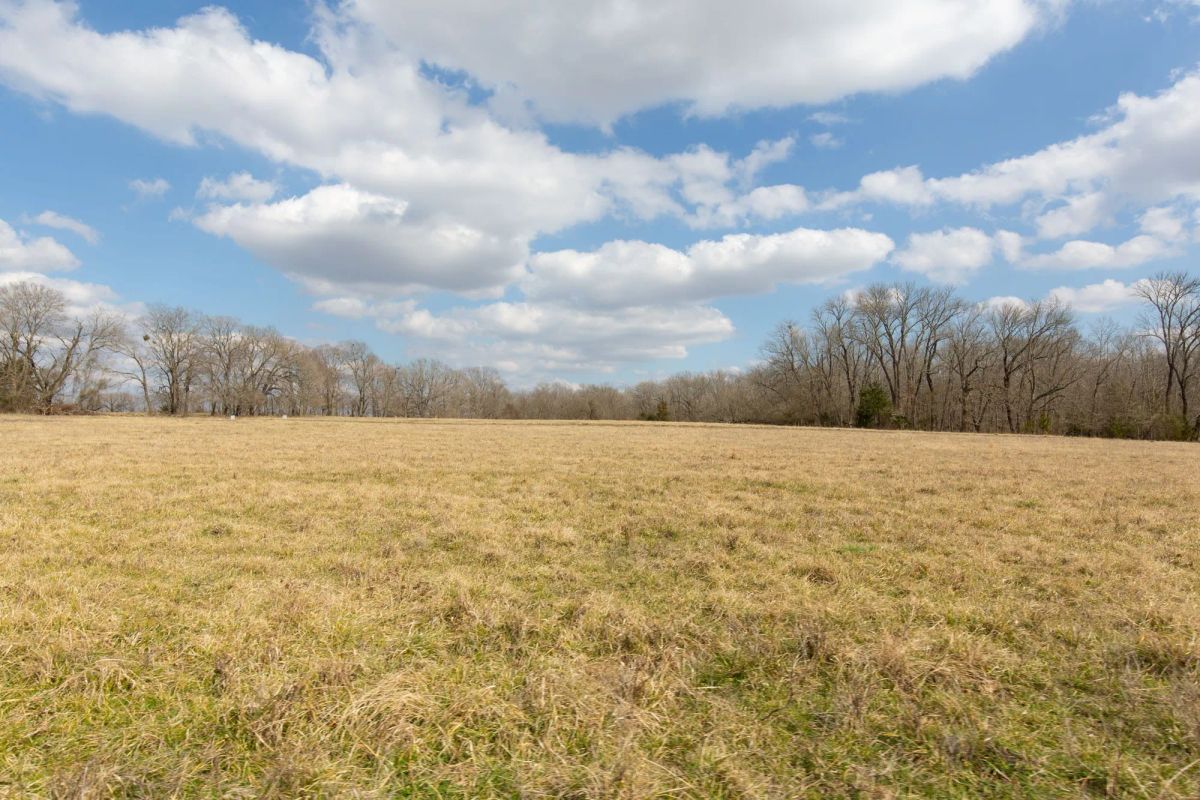 Decorative background for Wishing Star Ranch Tract 32 image 10
