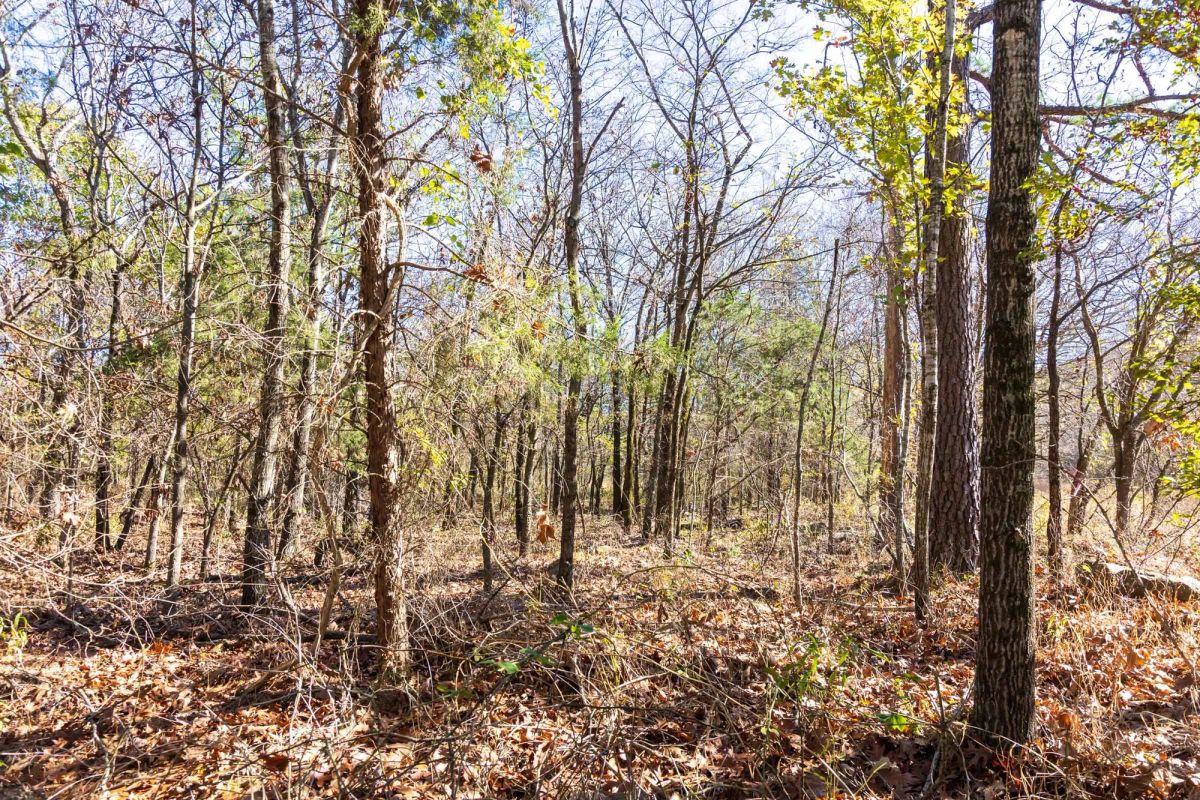 Stone Bridge Reserve Tract 11 - Image 2