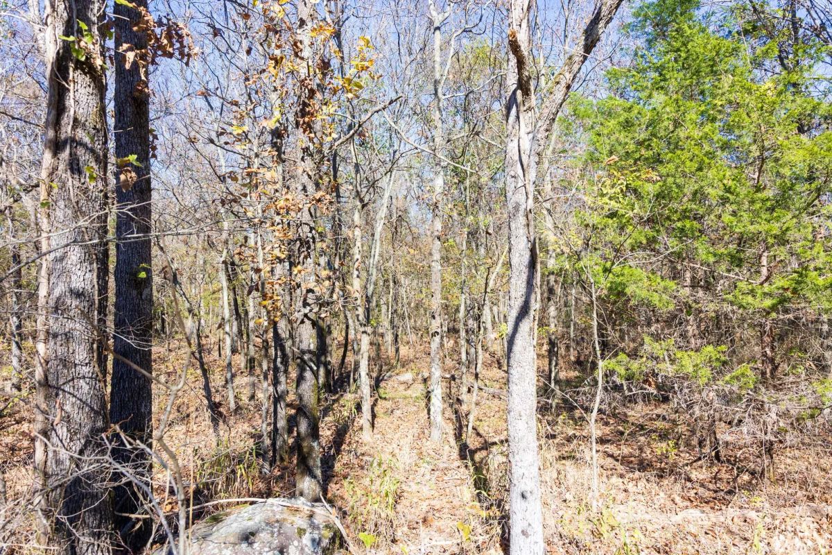 Decorative background for Stone Bridge Reserve Tract 11 image 7