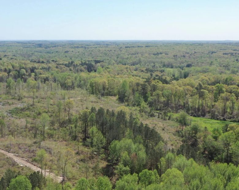 Twin Rivers Tract 27 in Henderson County, TN