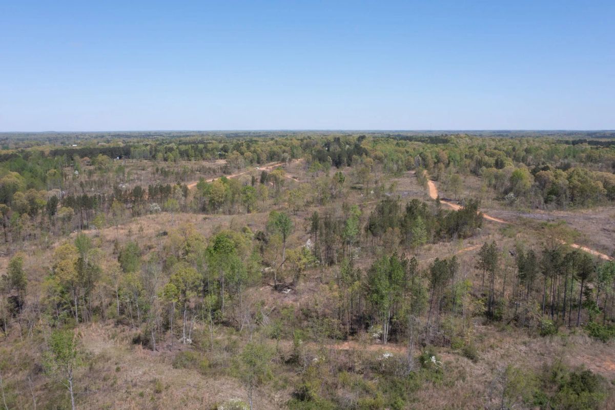 Twin Rivers Tract 27 - Image 2