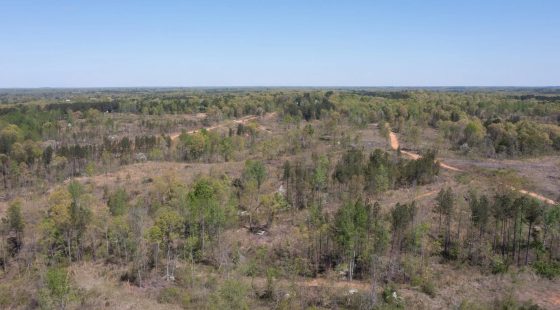 Twin Rivers Tract 27 in Henderson County, TN