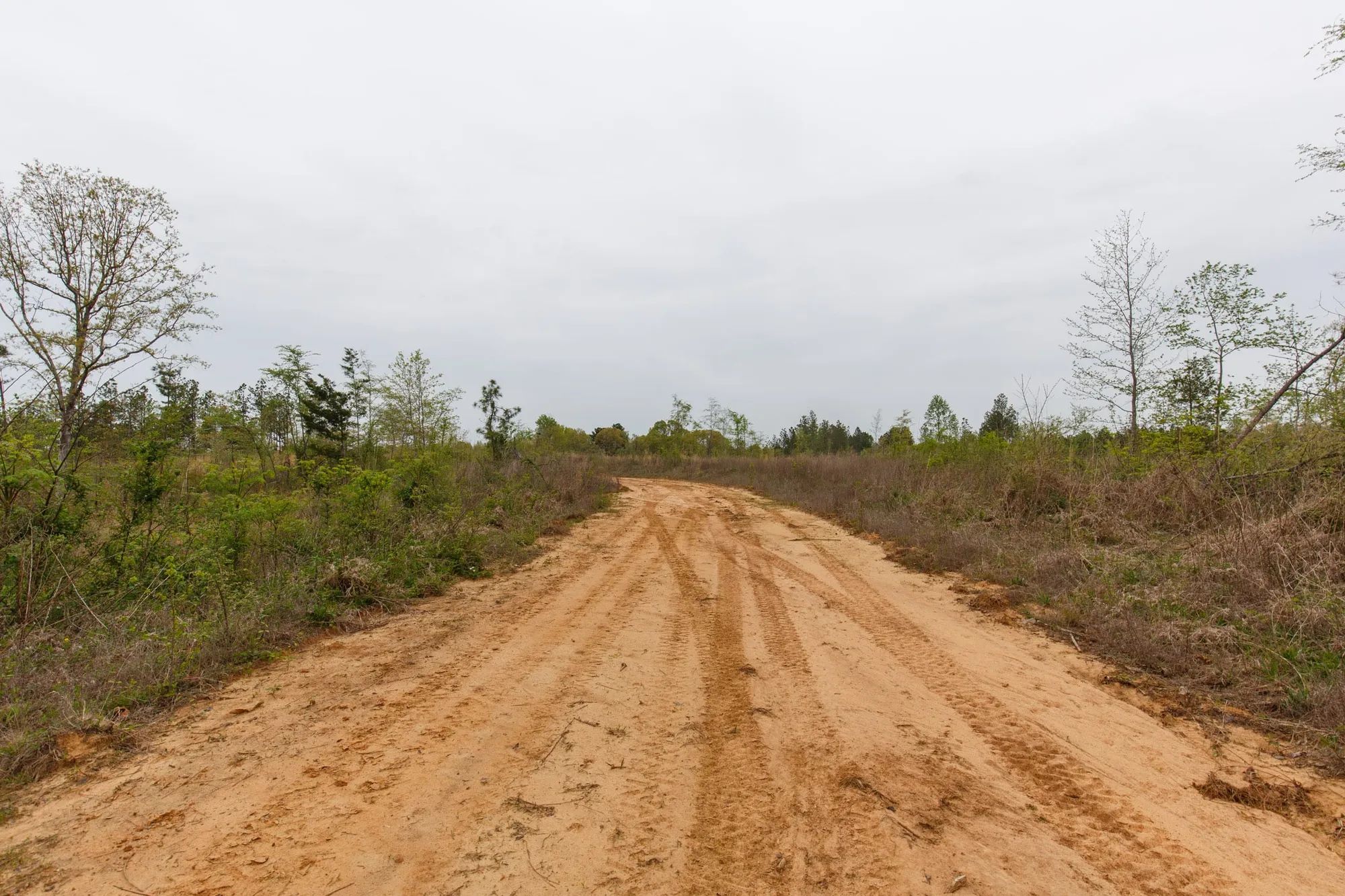 Twin Rivers Tract 27 in Henderson County, TN