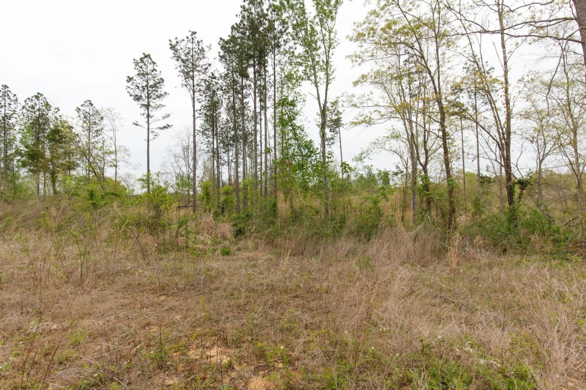 Twin Rivers Tract 27 - Image 4