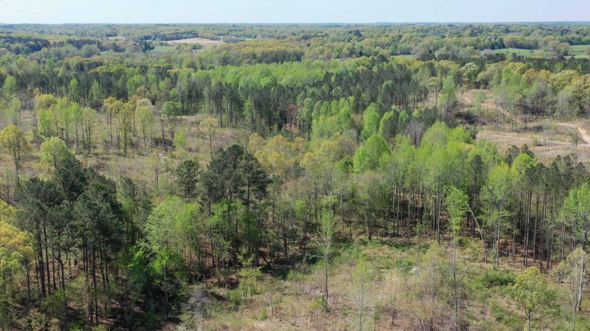 Decorative background for Twin Rivers Tract 27 image 7