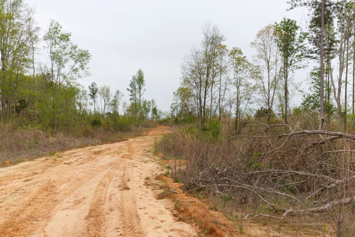 Decorative background for Twin Rivers Tract 27 image 9