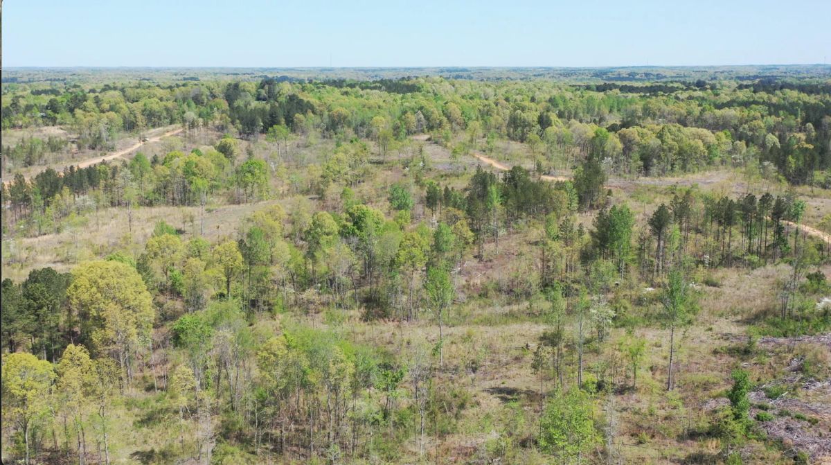 Decorative background for Twin Rivers Tract 27 image 11