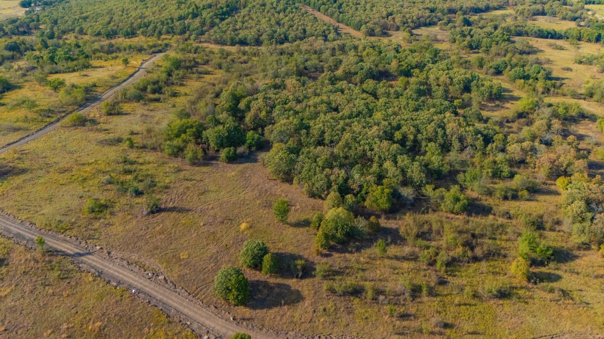 Gracyn Meadows Tract 9 - Main image