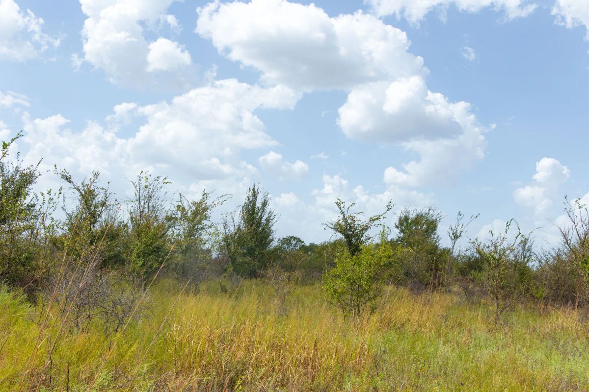 Gracyn Meadows Tract 9 - Image 2