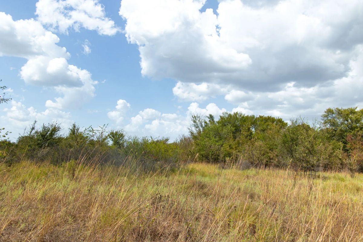 Gracyn Meadows Tract 9 - Image 3