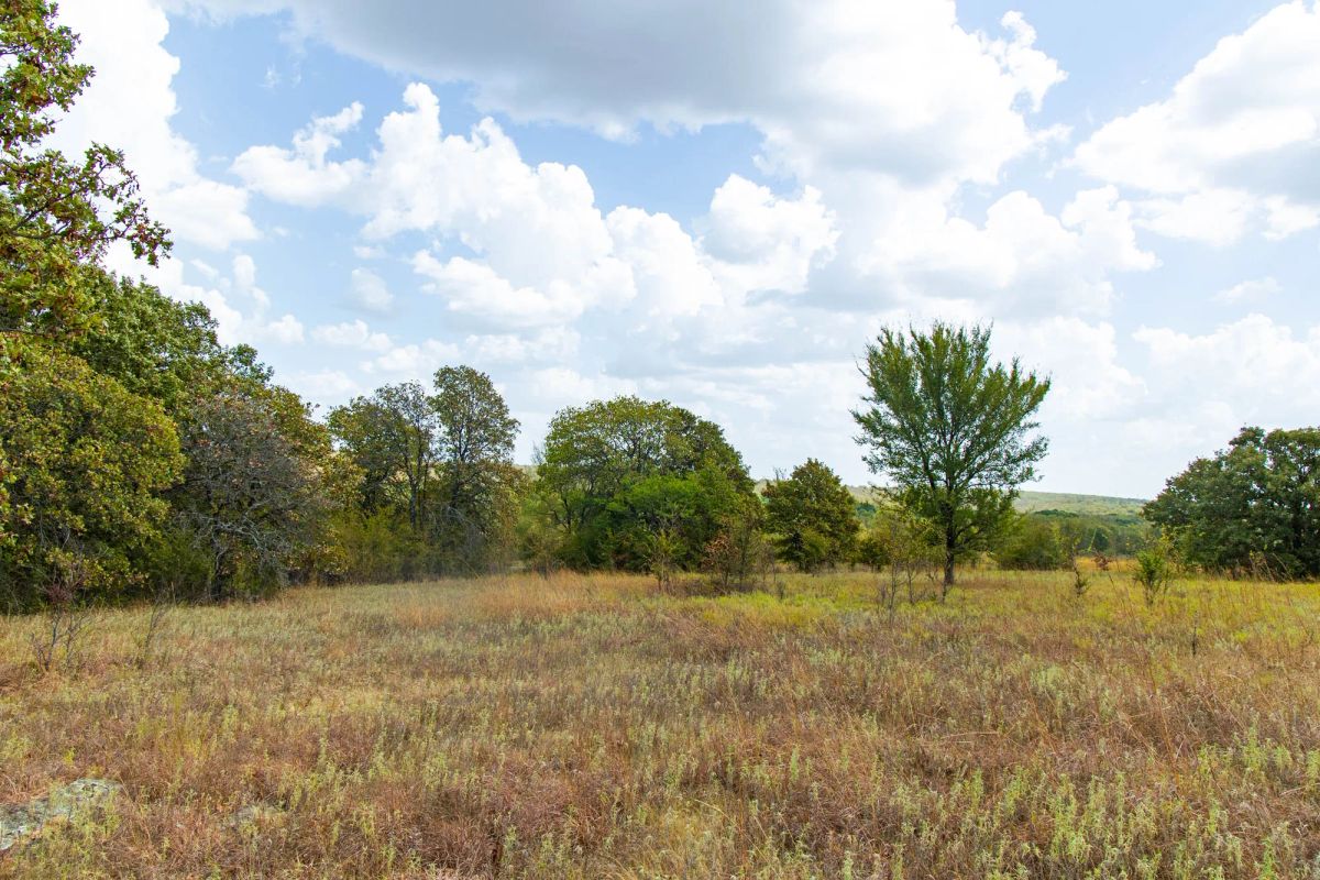 Decorative background for Gracyn Meadows Tract 9 image 6
