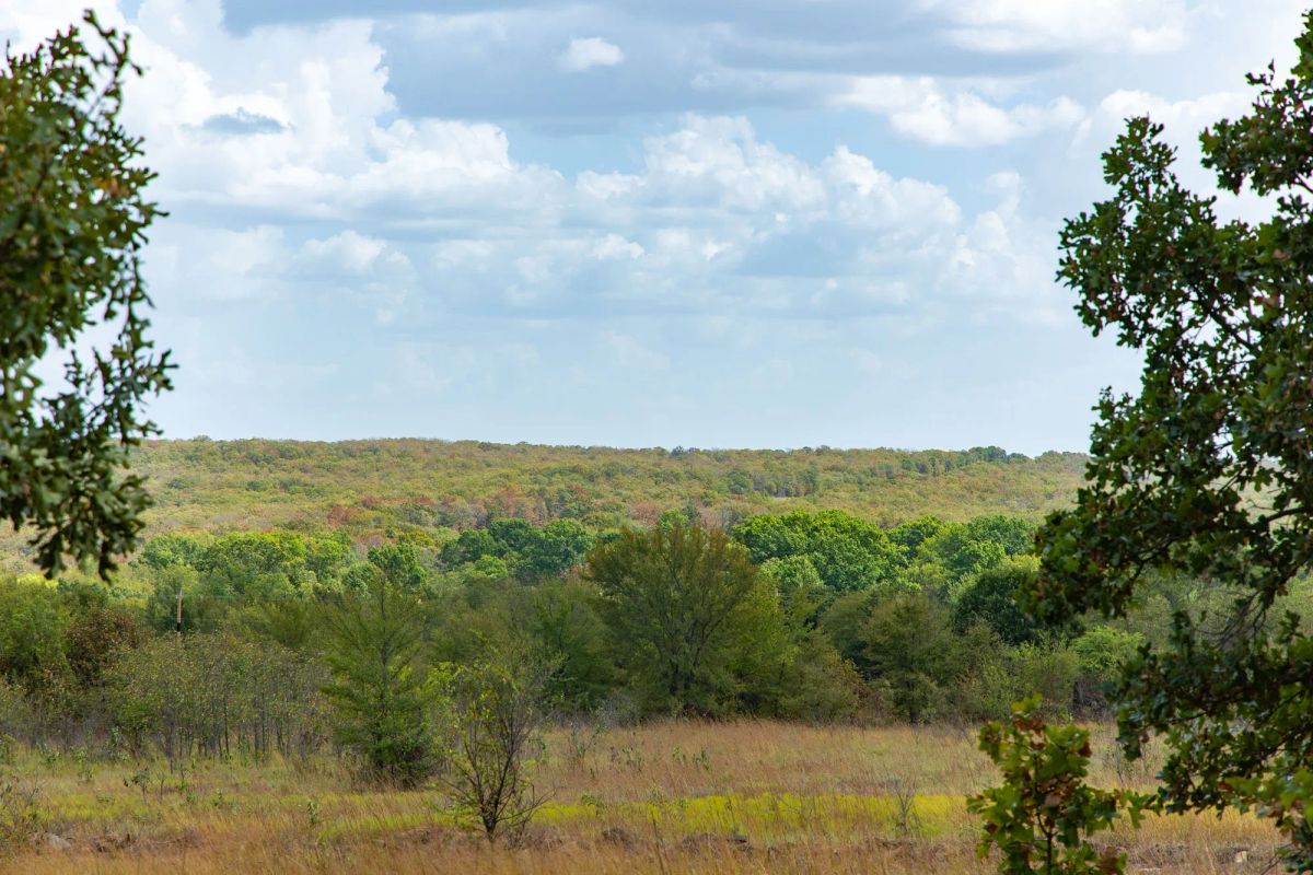Decorative background for Gracyn Meadows Tract 9 image 7