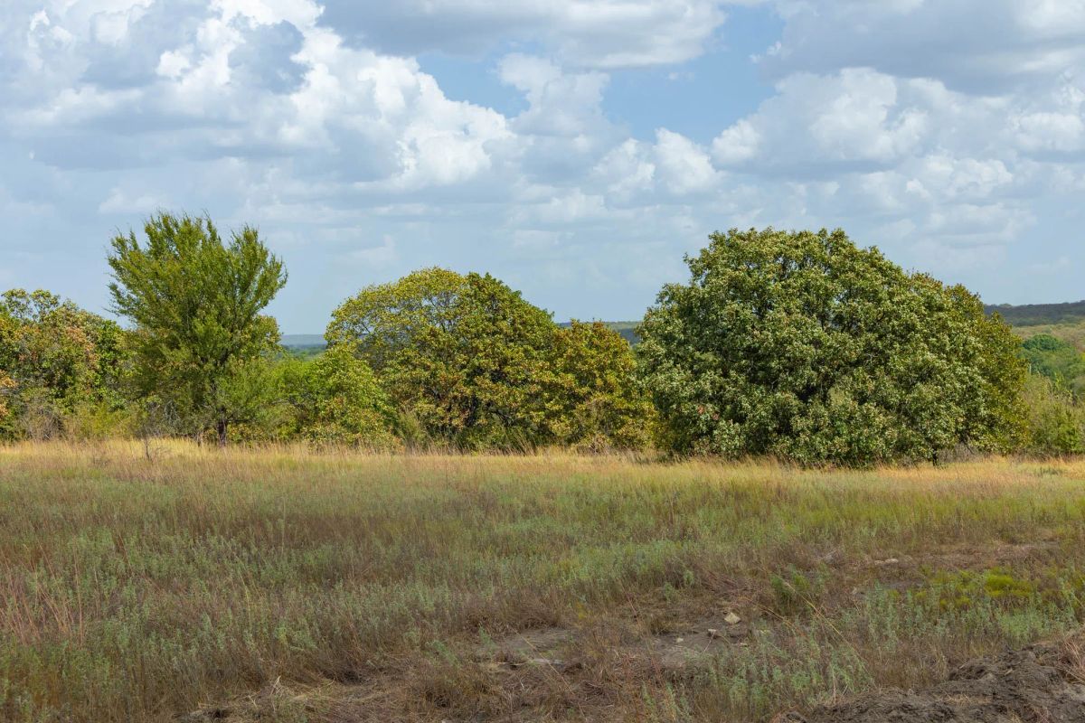 Decorative background for Gracyn Meadows Tract 9 image 9