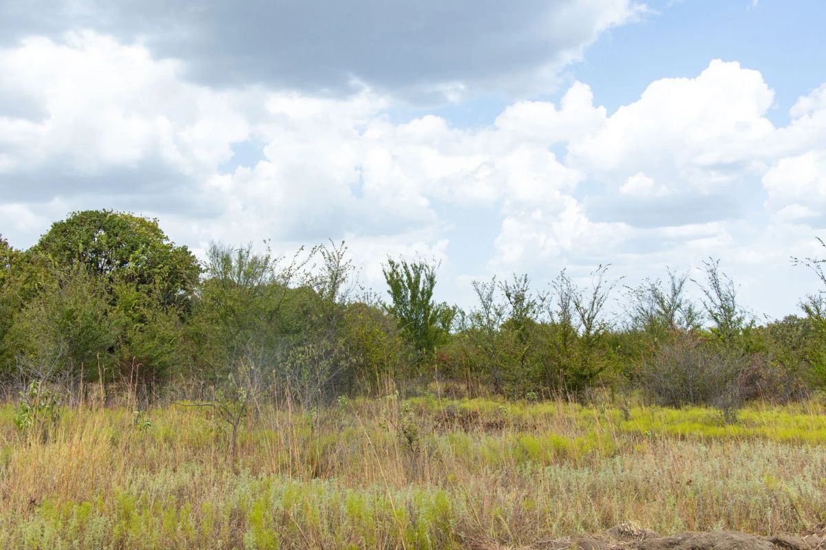 Decorative background for Gracyn Meadows Tract 9 image 10